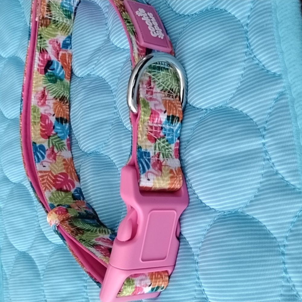 Pink Tropical Dog Collar